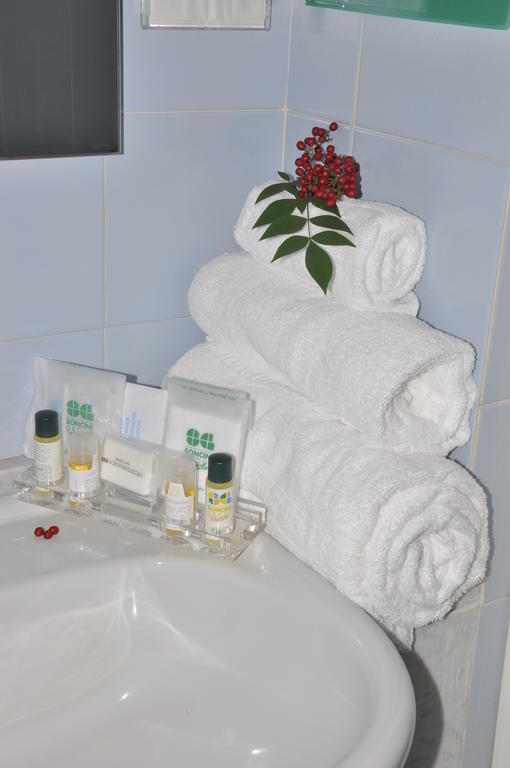 Green Hotel Poviglio  Rum bild
